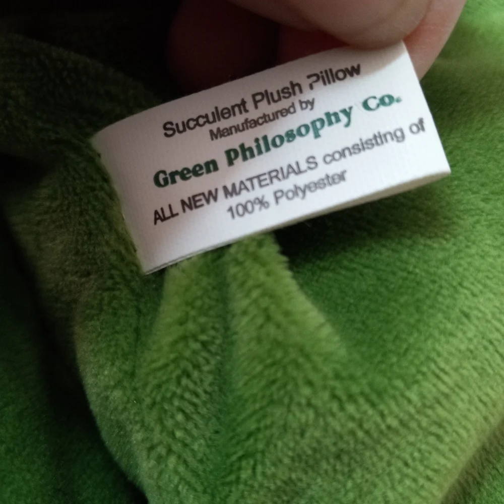 Green Philosophy Succulent Accent Pillow